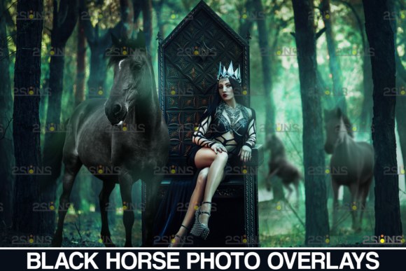Photoshop Overlay Black Horse